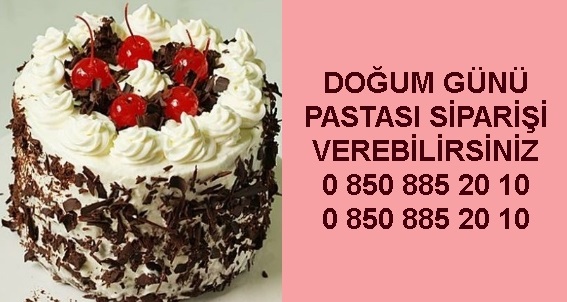 rnak Doum gnleri ya pasta eitleri doum gn pasta siparii sat